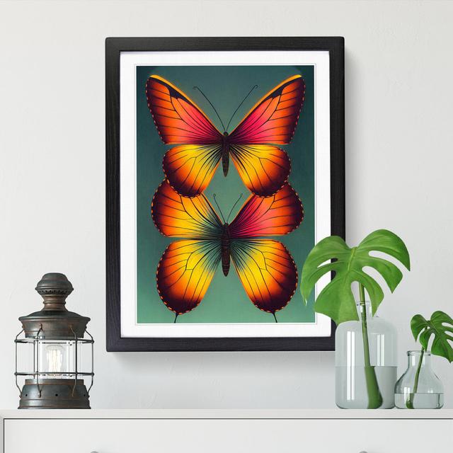 Butterfly Conceptual - Single Picture Frame Graphic Art Brambly Cottage Format: Black, Size: 34cm H x 25cm W on Productcaster.