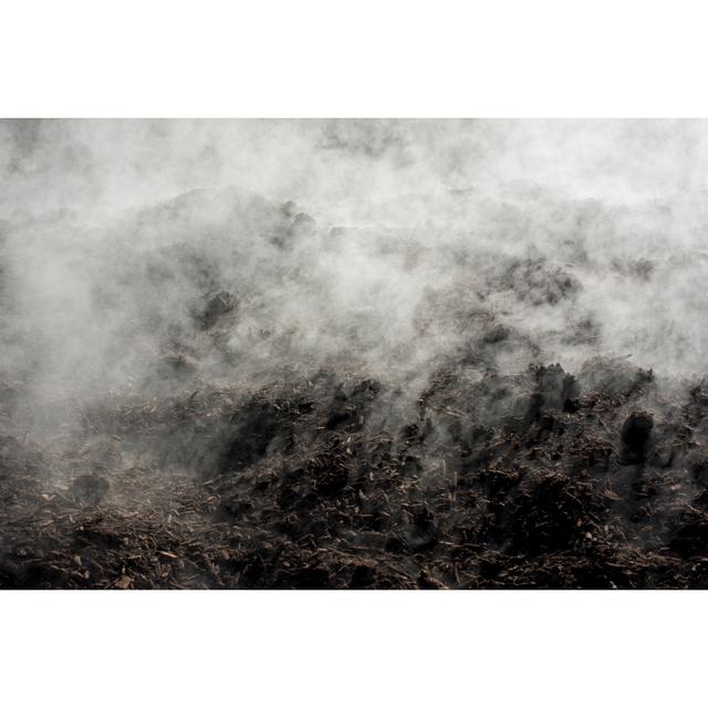 Organic Compost by Pansaa - Print 17 Stories Size: 50cm H x 75cm W x 1.8cm D on Productcaster.