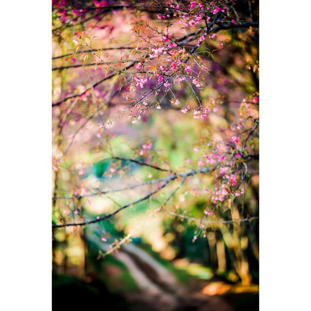 Wild Himalayan Cherry Paradise - Wrapped Canvas Photograph Ebern Designs Size: 46cm H x 30cm W on Productcaster.