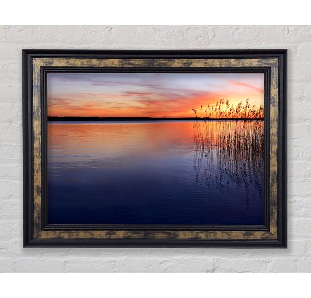 Serene Sunset Framed Print Bright Star Size: 53.34cm H x 106.68cm W on Productcaster.