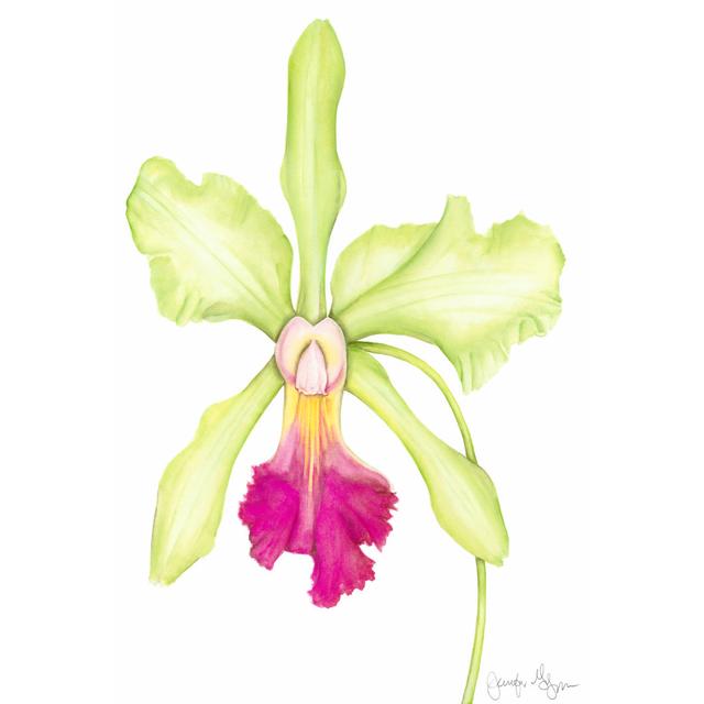 Orchid Beauty III (JP) by Jennifer Goldberger - Wrapped Canvas Art Prints Rosalind Wheeler Size: 30cm H x 20cm W x 0.38cm D on Productcaster.