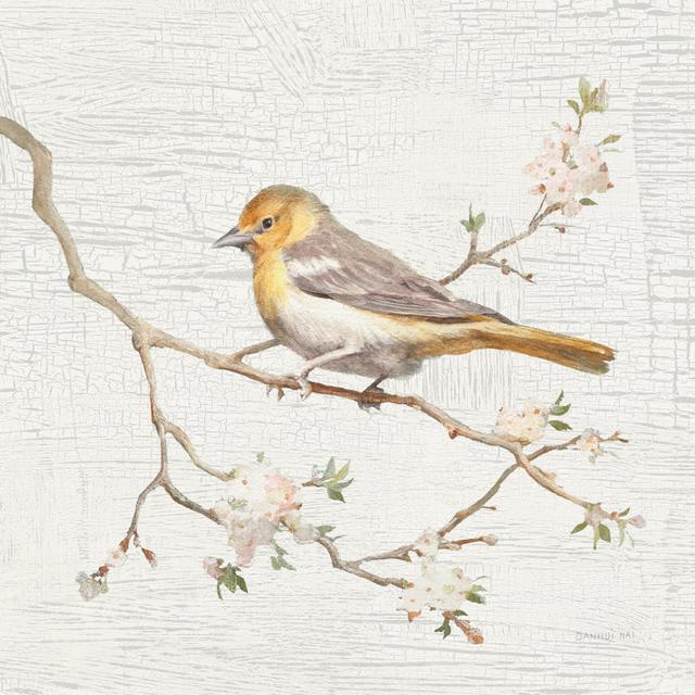 Northern Oriole Vintage by Danhui Nai - Wrapped Canvas Art Prints ClassicLiving Size: 30cm H x 30cm W x 3.8cm D on Productcaster.