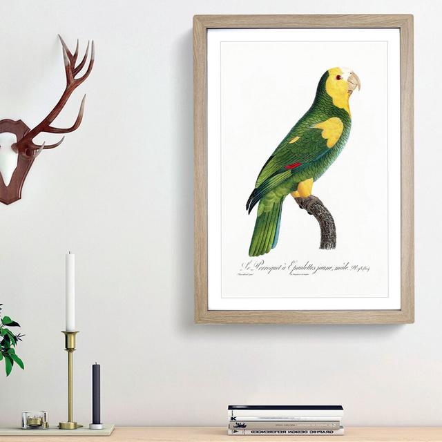 A Yellow-Shouldered Parrot by F. Levaillant - Single Picture Frame Painting East Urban Home Frame Option: Oak Framed, Size: 33cm H x 24cm W x 2cm D on Productcaster.