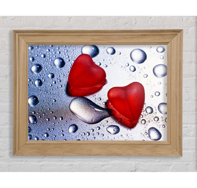 Single Picture Frame Art Prints Bright Star Size: 21cm H x 42cm W on Productcaster.