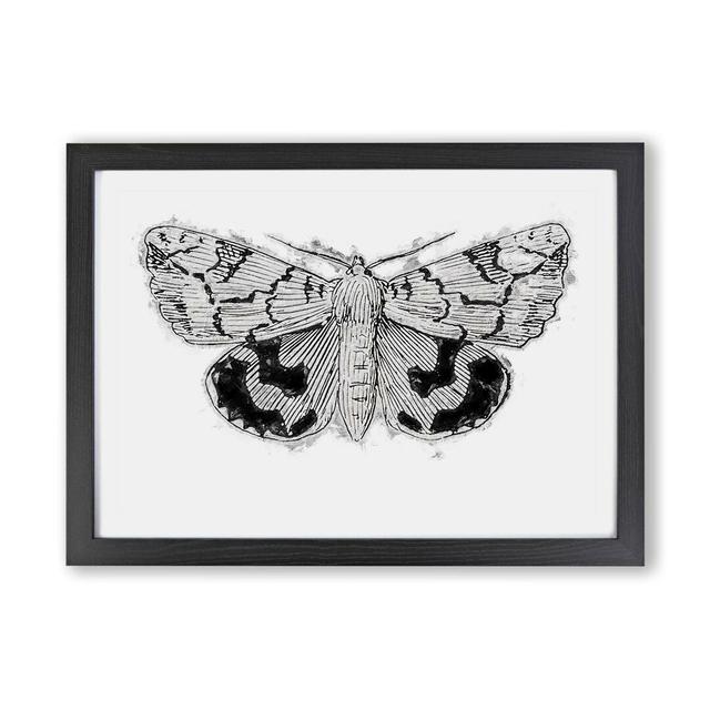 'Underwing Moth' - Picture Frame Painting Print on Paper East Urban Home Frame Option: Black, Size: 24cm H x 33cm W x 2cm D on Productcaster.