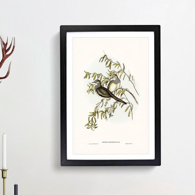 Peaceful Ground Doves by Elizabeth Gould - Picture Frame Painting Print East Urban Home Frame Option: Black Framed, Size: 48cm H x 36cm W x 2cm D on Productcaster.