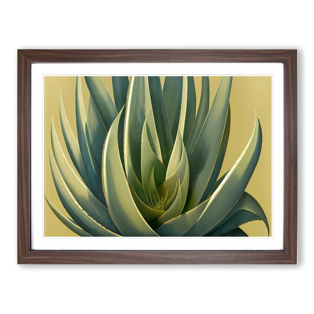 Lush Aloe Vera Plant - Picture Frame Graphic Art Bay Isle Home Frame Colour: Walnut, Size: 34cm H x 46cm W x 2cm D on Productcaster.