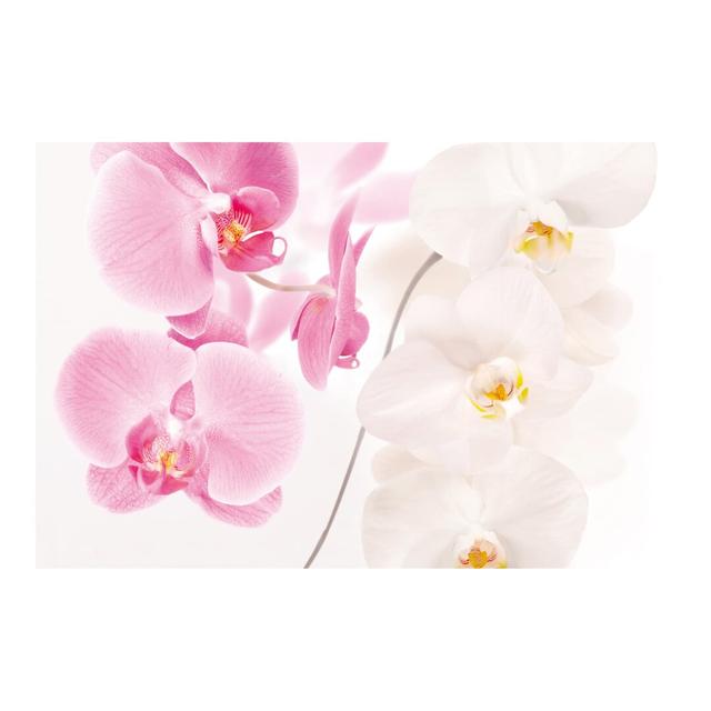 Delicate Orchids 2.25m x 336cm Textured Matt Peel & Stick Wall Mural East Urban Home on Productcaster.