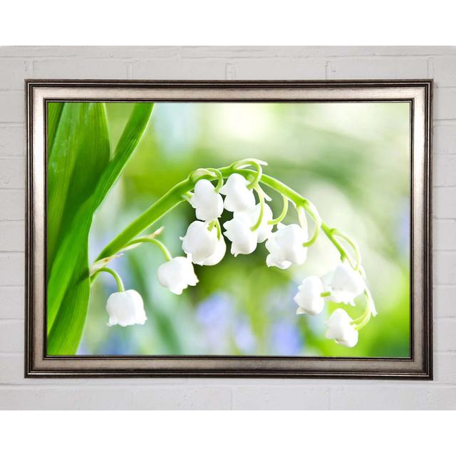 Lily Of The Valley - Single Picture Frame Art Prints Brayden Studio Size: 42cm H x 59.7cm W x 1.5cm D, Format: Gunmetal Framed Paper on Productcaster.