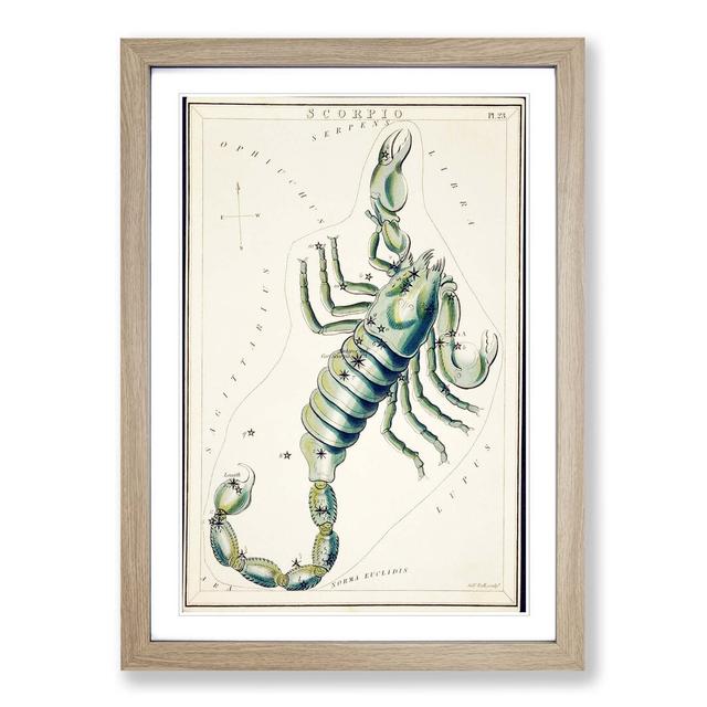 Astronomical Zodiac Chart of the Scorpio - Picture Frame Painting on Paper East Urban Home Format: Oak, Size: 33cm H x 24cm W x 2cm D on Productcaster.