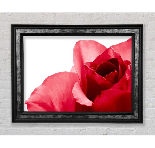 Pure - Single Picture Frame Art Prints Bright Star Size: 59.7cm H x 84.1cm W x 8cm D on Productcaster.