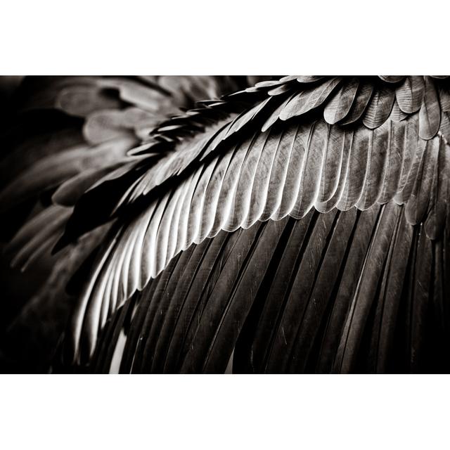 Feather Background - Wrapped Canvas Print Latitude Vive Size: 61cm H x 91cm W x 3.8cm D on Productcaster.