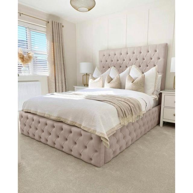 Chani Upholstered Bed Frame Mercer41 Colour: Cream, Size: Single (3') on Productcaster.