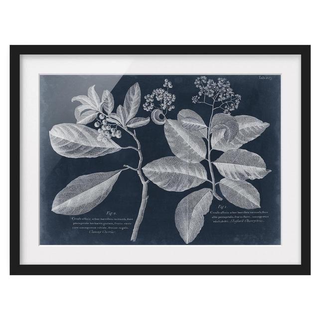 Foliage Dark Blue - Cordie - Picture Frame Painting Rosalind Wheeler Size: 30cm H x 40cm W x 2cm D, Frame Option: Black Framed on Productcaster.