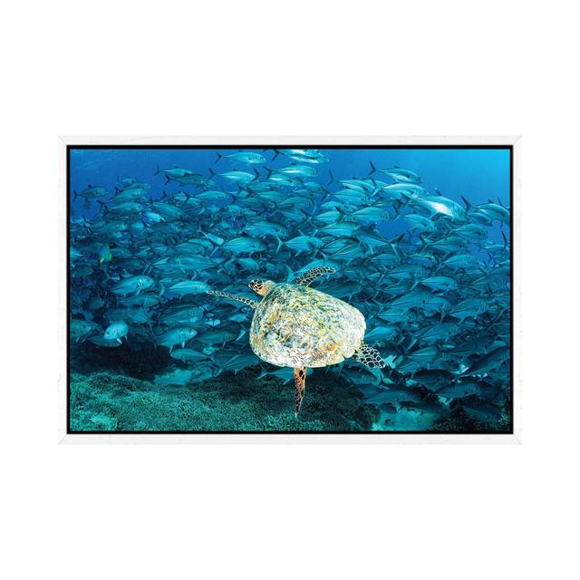 Peak Hour On The Reef by Jordan Robins - Gallery-Wrapped Canvas Giclée on Canvas 17 Stories Size: 45.72cm H x 66.04cm W x 3.81cm D, Format: White Fram on Productcaster.