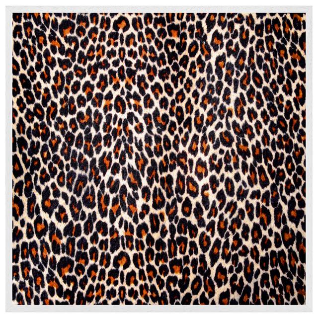 Menoken Print Of Leopard Skin - Single Picture Frame Print Fairmont Park Size: 61cm H x 61cm W x 4cm D, Frame Colour: White Framed on Productcaster.