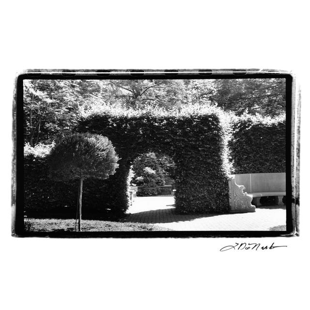 Garden Hideaway III by Laura DeNardo - Wrapped Canvas Photograph Rosalind Wheeler Size: 30cm H x 46cm W on Productcaster.