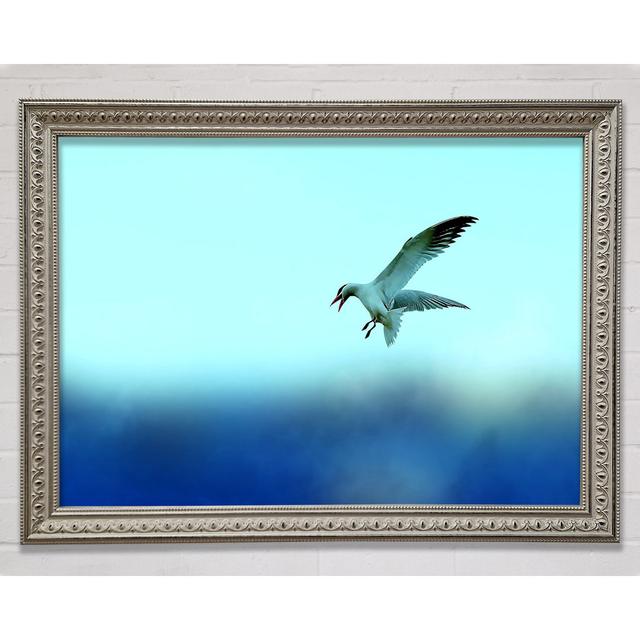 Seagull Framed Print Rosalind Wheeler Size: 29.7cm H x 42cm W on Productcaster.