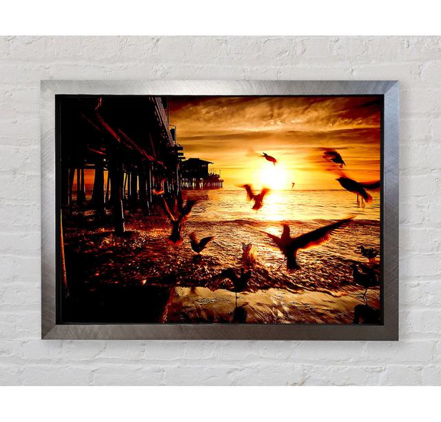 Sea And Fly Birds - Print Bright Star Size: 59.7cm H x 84.1cm W on Productcaster.