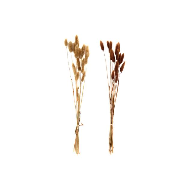 2 Piece Mixed Stems Set The Seasonal Aisle on Productcaster.