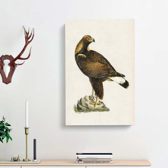 Golden Eagle by Von Wright - Wrapped Canvas Painting Print East Urban Home Size: 91cm H x 60cm W x 3cm D on Productcaster.