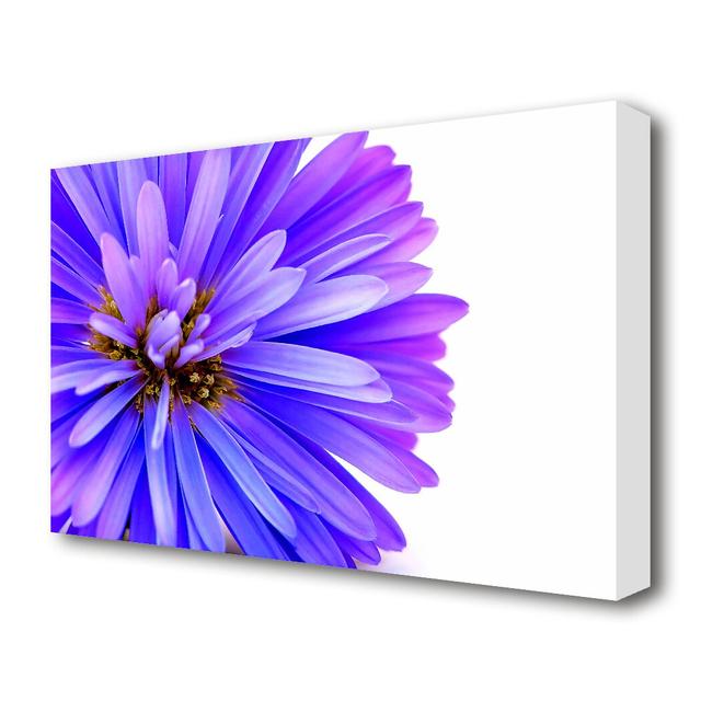 Soft Purple Petals Flowers Canvas Print Wall Art East Urban Home Size: 81.3 cm H x 121.9 cm W on Productcaster.