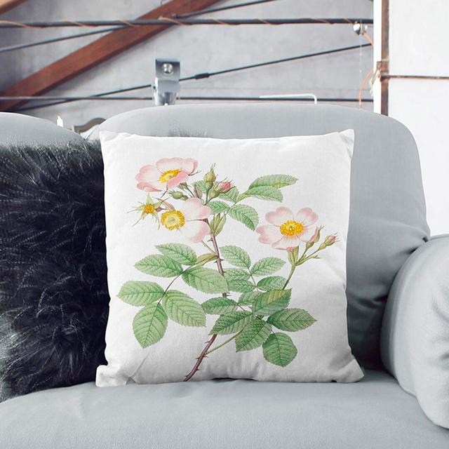 Field Rose in Pink by Pierre-Joseph Redoute Cushion with Filling East Urban Home Size: 40cm H x 40cm W x 15cm D, Backing Colour: White on Productcaster.