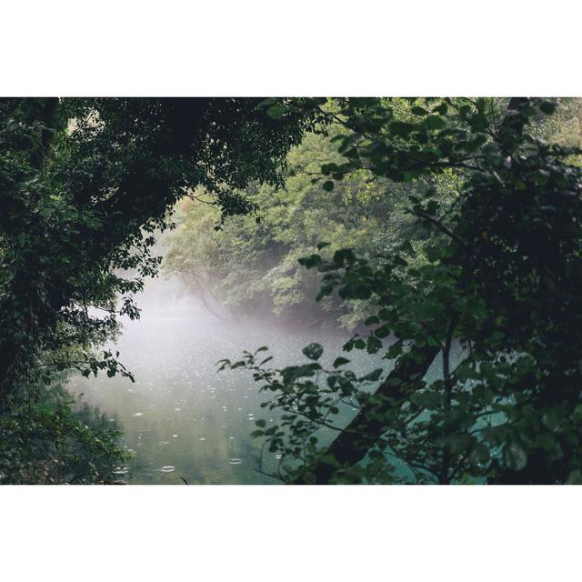 Foggy Lagoon Swamp Trees by Lechatnoir - Wrapped Canvas Art Prints Alpen Home on Productcaster.