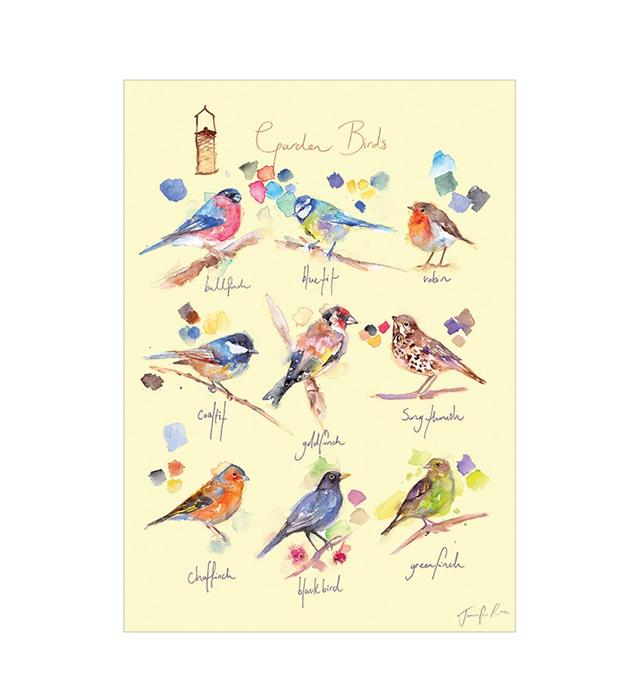 'Garden Birds' by Jennifer Rose - Unframed Painting Print on Paper Rosalind Wheeler on Productcaster.