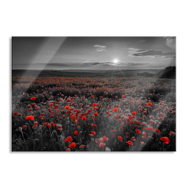 Great Poppy Field - Unframed Graphic Art on Glass Brayden Studio Size: 60cm H x 80cm W x 0.4cm D on Productcaster.