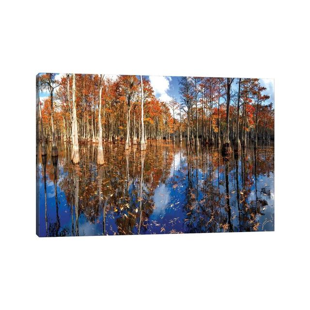 Cypress Swamp George L. Smith State Park, Georgia by OLena Art - Wrapped Canvas Print Alpen Home Size: 20.32cm H x 30.48cm W x 1.91cm D on Productcaster.