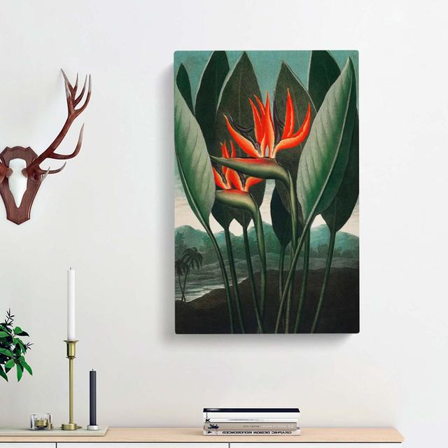 Exotic Flowers by R.J. Thornton - Wrapped Canvas Painting Print East Urban Home Size: 50cm H x 35cm W x 3cm D on Productcaster.