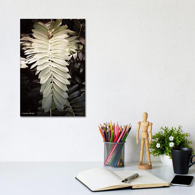 Sunkissed Fern by Melissa Hanley - Wrapped Canvas Gallery-Wrapped Canvas Giclée Latitude Run Size: 30.48cm H x 20.32cm W x 1.91cm D on Productcaster.