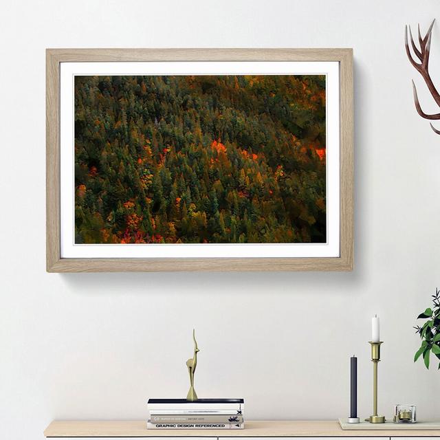 Autumn Forest in Switzerland - Picture Frame Graphic Art Print East Urban Home Frame Option: Oak Framed, Size: 48cm H x 65cm W x 2cm D on Productcaster.