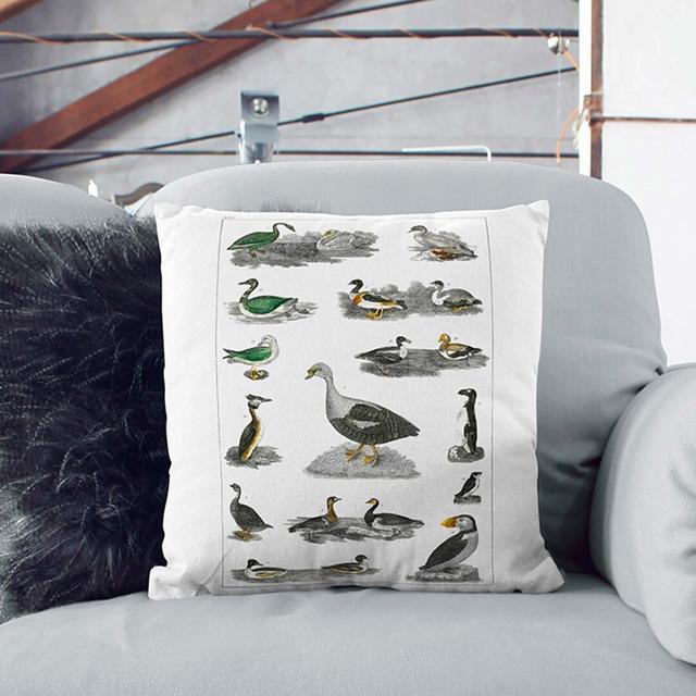 Assortment of Birds XXIX by Oliver Goldsmith Cushion with Filling East Urban Home Size: 55 x 55 cm, Backing Colour: White on Productcaster.