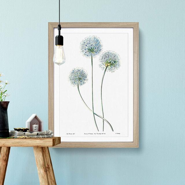 Blue Dandelion Flowers - Picture Frame Painting East Urban Home Format: Oak, Size: 60cm H x 40cm W x 2cm D on Productcaster.