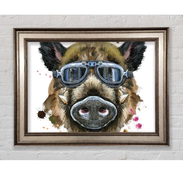 Das Wildschwein mit Brille - Einzelne Bilderrahmen Kunstdrucke Bright Star Größe: 42cm H x 59,7cm B on Productcaster.