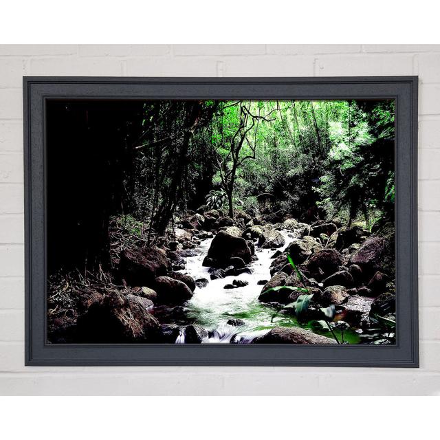 Rainforest Creek - Single Picture Frame Art Prints Alpen Home Size: 59.7cm H x 84.1cm W x 1.5cm D on Productcaster.