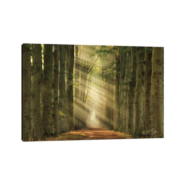 Some Light by Martin Podt - Wrapped Canvas Photograph Alpen Home Size: 20.32cm H x 30.48cm W x 1.91cm D on Productcaster.