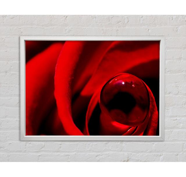 Red Rose Center Dew Framed Print Ebern Designs Size: 59.7cm H x 84.1cm W on Productcaster.