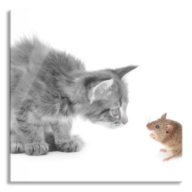 Cat And Mouse - No Frame Print on Glass Ebern Designs Size: 80cm H x 80cm W x 0.4cm D on Productcaster.