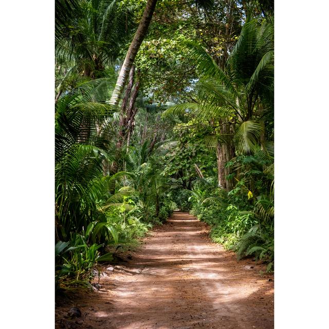 Tropical Jungle by Elenaseychelles - Wrapped Canvas Photograph Alpen Home Size: 30cm H x 20cm W on Productcaster.