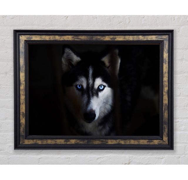 Husky Hund Wolfsgesicht - Einzelner Bilderrahmen Kunstdrucke Bright Star Größe: 100 cm H x 141,4 cm B on Productcaster.