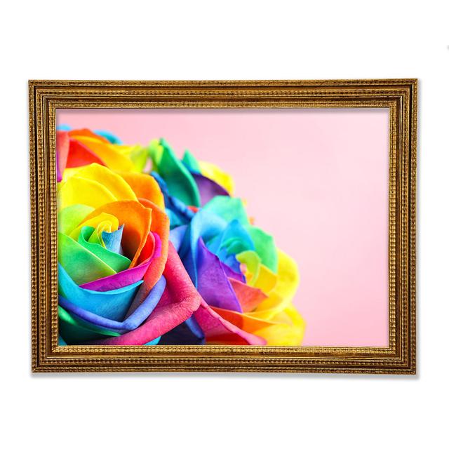 Rainbow Closeup Rose - Print Bright Star Size: 84.1cm H x 118.9cm W x 3cm D on Productcaster.