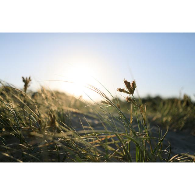 Sunset Over Sand Dunes by Thurtell - Photographic Print 17 Stories Size: 20cm H x 30cm W on Productcaster.