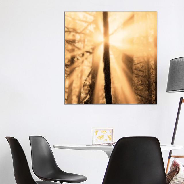 Epiphany II by Marvin Pelkey - Wrapped Canvas Gallery-Wrapped Canvas Giclée Alpen Home Size: 93.98cm H x 93.98cm W x 3.81cm D on Productcaster.