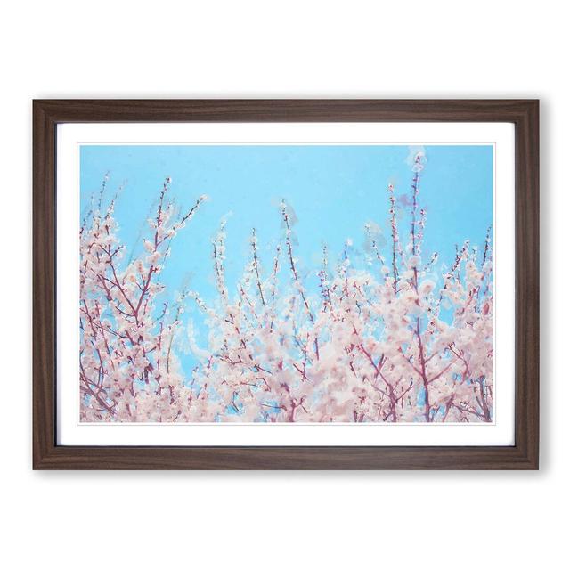 Top of the Blossom Tree in Abstract - Picture Frame Graphic Art Print East Urban Home Frame Option: Walnut, Size: 40cm H x 60cm W x 2cm D on Productcaster.