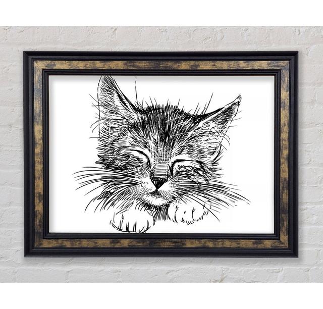 Cute Kitten Face - Single Picture Frame Art Prints Bright Star Size: 29.7cm H x 42cm W on Productcaster.