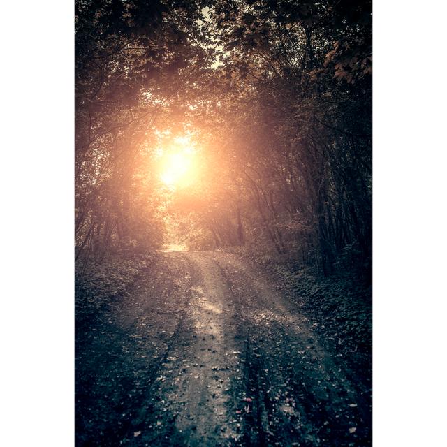 Dark Spooky Forest by BalazsKovacs - Wrapped Canvas Print 17 Stories Size: 30cm H x 20cm W on Productcaster.