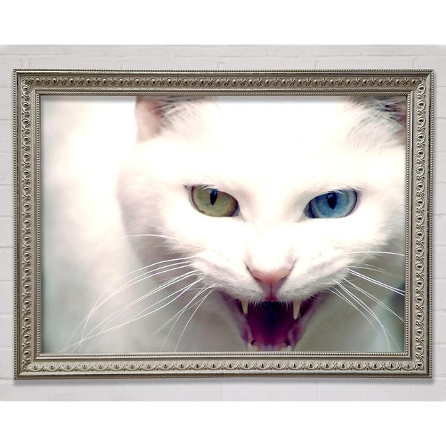 Wild Silver Cat - Single Picture Frame Art Prints Ebern Designs Size: 59.7cm H x 84.1cm W on Productcaster.